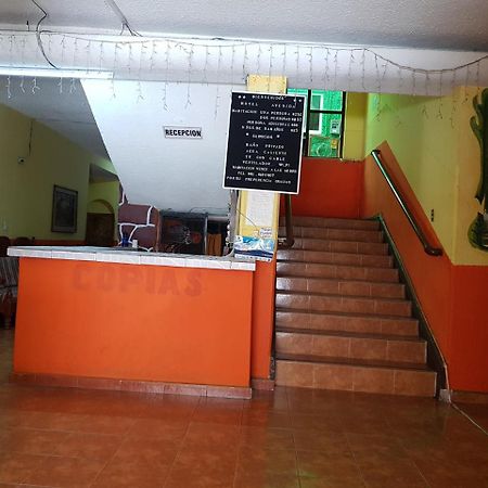 Hotel Avenida Tuxtla Gutierrez Luaran gambar